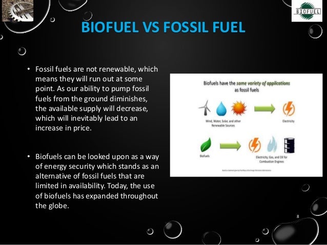 Biofuels A Clean Alternative For Fossil Fuels