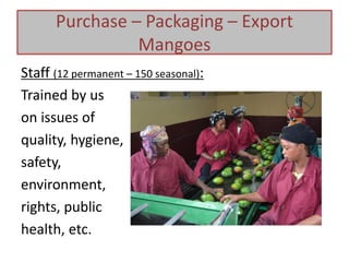 Staff (12 permanent – 150 seasonal):
Trained by us
on issues of
quality, hygiene,
safety,
environment,
rights, public
health, etc.
Purchase – Packaging – Export
Mangoes
 