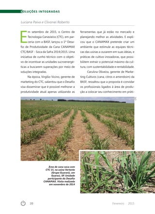 20	 Fevereiro · 2015
SOLUÇÕES INTEGRADAS
E
m setembro de 2015, o Centro de
Tecnologia Canavieira (CTC), em par-
ceria com a BASF, lançou o 1º Desa-
fio de Produtividade da Cana CANAMAX
CTC/BASF - Soca da Safra 2014/2015. Uma
iniciativa de cunho técnico com o objeti-
vo de incentivar as unidades sucroenergé-
ticas a buscarem superações por meio de
soluções integradas.
Na época, Virgílio Vicino, gerente de
marketing do CTC, salientou que o Desafio
visa disseminar que é possível melhorar a
produtividade atual apenas utilizando as
ferramentas que já estão no mercado e
planejando melhor as atividades. E expli-
cou que o CANAMAX pretende criar um
ambiente que estimule as equipes técni-
cas das usinas a ousarem em suas ideias, e
práticas de cultivo inovadoras, que possi-
bilitem extrair o potencial máximo da cul-
tura, com sustentabilidade e rentabilidade.
Carulina Oliveira, gerente de Marke-
ting Cultivos (cana, citros e amendoim) da
BASF, ressaltou que a proposta é convidar
os profissionais ligados à área de produ-
ção a colocar seu conhecimento em práti-
Luciana Paiva e Clivonei Roberto
Área de cana-soca com
CTC 15, na usina Vertente
(Grupo Guarani), em
Guaraci, SP. Unidade
participante do Desafio
CANAMAX. Visita realizada
em novembro de 2014
CTC
 