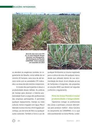 22	 Fevereiro · 2015
SOLUÇÕES INTEGRADAS
se atendem às exigências contidas no re-
gulamento do Desafio, como talhão de no
mínimo 20 hectares, cana-soca de até ter-
ceiro corte com as variedades CTC indica-
das, e as áreas de solo restrito e responsivo.
A missão dos participantes é elevar a
produtividade desses talhões. As práticas
de manejo para alcançar a máxima pro-
dutividade ficam a cargo dos profissionais
das empresas participantes. É permitido
qualquer espaçamento, manejo ou trato
cultural, menos irrigação com água. Mas é
liberada na área inscrita a fertirrigação por
vinhaça, uso de torta de filtro ou qualquer
outro substrato. Também é livre o uso de
qualquer fertilizante ou insumo registrado
para a cultura da cana, de qualquer marca,
desde que utilizado dentro de sua reco-
mendação de rótulo. Já em relação ao uso
de herbicidas e fungicidas, são propostas
as soluções BASF, que devem ser seguidas
conforme o regulamento.
Meta da Usina Mandú é maior
produtividade e longevidade
“Queremos instigar os profissionais
das usinas a participar, a buscar alternati-
vas para produzir melhor”, disse Carulina
no lançamento do CANAMAX, e é o que
está acontecendo na Usina Mandu, unida-
Área de cana-soca com CTC
15, na usina Andrade (Grupo
Guarani), em Pitangueiras,
SP. Participante do Desafio
CANAMAX. Visita realizada
em novembro de 2014
CTC
 