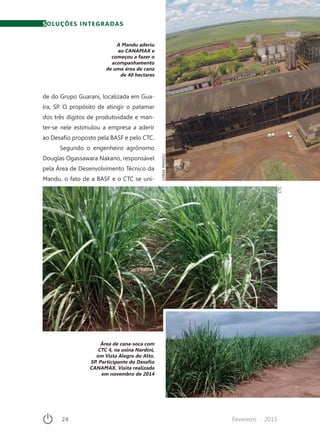 24	 Fevereiro · 2015
SOLUÇÕES INTEGRADAS
de do Grupo Guarani, localizada em Gua-
íra, SP. O propósito de atingir o patamar
dos três dígitos de produtividade e man-
ter-se nele estimulou a empresa a aderir
ao Desafio proposto pela BASF e pelo CTC.
Segundo o engenheiro agrônomo
Douglas Ogassawara Nakano, responsável
pela Área de Desenvolvimento Técnico da
Mandu, o fato de a BASF e o CTC se uni-
A Mandu aderiu
ao CANAMAX e
começou a fazer o
acompanhamento
de uma área de cana
de 40 hectares
USINAMANDU
Área de cana-soca com
CTC 4, na usina Nardini,
em Vista Alegre do Alto,
SP. Participante do Desafio
CANAMAX. Visita realizada
em novembro de 2014
CTC
 
