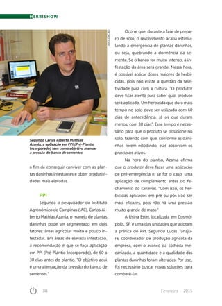 36	 Fevereiro · 2015
HERBISHOW
a fim de conseguir conviver com as plan-
tas daninhas infestantes e obter produtivi-
dades mais elevadas.
PPI
Segundo o pesquisador do Instituto
Agronômico de Campinas (IAC), Carlos Al-
berto Mathias Azania, o manejo de plantas
daninhas pode ser segmentado em dois
fatores: áreas agrícolas muito e pouco in-
festadas. Em áreas de elevada infestação,
a recomendação é que se faça aplicação
em PPI (Pré-Plantio Incorporado), de 60 a
30 dias antes do plantio. “O objetivo aqui
é uma atenuação da pressão do banco de
sementes.”
Ocorre que, durante a fase de prepa-
ro de solo, o revolvimento acaba estimu-
lando a emergência de plantas daninhas,
ou seja, quebrando a dormência da se-
mente. Se o banco for muito intenso, a in-
festação da área será grande. Nessa hora,
é possível aplicar doses maiores de herbi-
cidas, pois não existe a questão da sele-
tividade para com a cultura. “O produtor
deve ficar atento para saber qual produto
será aplicado. Um herbicida que dura mais
tempo no solo deve ser utilizado com 60
dias de antecedência. Já os que duram
menos, com 30 dias”. Esse tempo é neces-
sário para que o produto se posicione no
solo, fazendo com que, conforme as dani-
nhas forem eclodindo, elas absorvam os
princípios ativos.
Na hora do plantio, Azania afirma
que o produtor deve fazer uma aplicação
de pré-emergência e, se for o caso, uma
aplicação de complemento antes do fe-
chamento do canavial. “Com isso, os her-
bicidas aplicados em pré ou pós irão ser
mais eficazes, pois não há uma pressão
muito grande de mato.”
A Usina Ester, localizada em Cosmó-
polis, SP, é uma das unidades que adotam
a prática do PPI. Segundo Lucas Tanaju-
ra, coordenador de produção agrícola da
empresa, com o avanço da colheita me-
canizada, a quantidade e a qualidade das
plantas daninhas foram alteradas. Por isso,
foi necessário buscar novas soluções para
combatê-las.
Segundo Carlos Alberto Mathias
Azania, a aplicação em PPI (Pré-Plantio
Incorporado) tem como objetivo atenuar
a pressão do banco de sementes
DIVULGAÇÃO
 