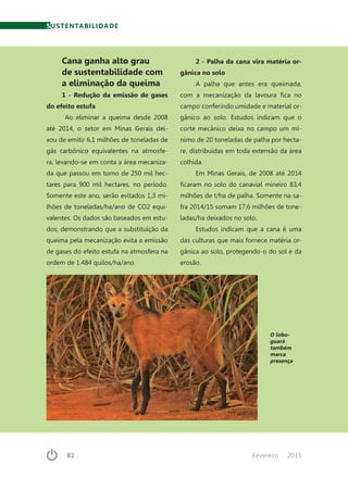 82	 Fevereiro · 2015
Cana ganha alto grau
de sustentabilidade com
a eliminação da queima
1 - Redução da emissão de gases
do efeito estufa
Ao eliminar a queima desde 2008
até 2014, o setor em Minas Gerais dei-
xou de emitir 6,1 milhões de toneladas de
gás carbônico equivalentes na atmosfe-
ra, levando-se em conta a área mecaniza-
da que passou em torno de 250 mil hec-
tares para 900 mil hectares, no período.
Somente este ano, serão evitados 1,3 mi-
lhões de toneladas/ha/ano de CO2 equi-
valentes. Os dados são baseados em estu-
dos, demonstrando que a substituição da
queima pela mecanização evita a emissão
de gases do efeito estufa na atmosfera na
ordem de 1.484 quilos/ha/ano.
2 - Palha da cana vira matéria or-
gânica no solo
A palha que antes era queimada,
com a mecanização da lavoura fica no
campo conferindo umidade e material or-
gânico ao solo. Estudos indicam que o
corte mecânico deixa no campo um mí-
nimo de 20 toneladas de palha por hecta-
re, distribuídas em toda extensão da área
colhida.
Em Minas Gerais, de 2008 até 2014
ficaram no solo do canavial mineiro 83,4
milhões de t/ha de palha. Somente na sa-
fra 2014/15 somam 17,6 milhões de tone-
ladas/ha deixados no solo.
Estudos indicam que a cana é uma
das culturas que mais fornece matéria or-
gânica ao solo, protegendo-o do sol e da
erosão.
O lobo-
guará
também
marca
presença
SUSTENTABILIDADE
 