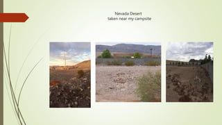 Nevada Desert
taken near my campsite
 