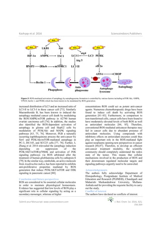 Reactive Oxygen Species (ROS) an Activator of Apoptosis and Autophagy | PDF