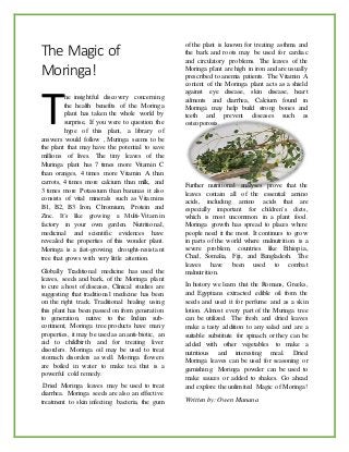 The Magic of
Moringa!
he insightful discovery concerning
the health benefits of the Moringa
plant has taken the whole world by
surprise, If you were to question the
hype of this plant, a library of
answers would follow , Muringa seems to be
the plant that may have the potential to save
millions of lives. The tiny leaves of the
Muringa plant has 7 times more Vitamin C
than oranges, 4 times more Vitamin A than
carrots, 4 times more calcium than milk, and
3 times more Potassium than bananas it also
consists of vital minerals such as Vitamins
B1, B2, B3 Iron, Chromium, Protein and
Zinc. It’s like growing a Multi-Vitamin
factory in your own garden. Nutritional,
medicinal and scientific evidences have
revealed the properties of this wonder plant.
Moringa is a fast-growing, drought-resistant
tree that grows with very little attention.
Globally Traditional medicine has used the
leaves, seeds and bark, of the Moringa plant
to cure a host of diseases, Clinical studies are
suggesting that traditional medicine has been
on the right track. Traditional healing using
this plant has been passed on from generation
to generation, native to the Indian sub-
continent, Moringa tree products have many
properties, it may be used as an anti-biotic, an
aid to childbirth and for treating liver
disorders. Moringa oil may be used to treat
stomach disorders as well. Moringa flowers
are boiled in water to make tea that is a
powerful cold remedy.
Dried Moringa leaves may be used to treat
diarrhea. Moringa seeds are also an effective
treatment to skin infecting bacteria, the gum
of the plant is known for treating asthma and
the bark and roots may be used for cardiac
and circulatory problems. The leaves of the
Moringa plant are high in iron and are usually
prescribed to anemia patients. The Vitamin A
content of the Moringa plant acts as a shield
against eye disease, skin disease, heart
ailments and diarrhea, Calcium found in
Moringa may help build strong bones and
teeth and prevent diseases such as
osteoporosis.
Further nutritional analyses prove that the
leaves contain all of the essential amino
acids, including amino acids that are
especially important for children’s diets,
which is most uncommon in a plant food.
Moringa growth has spread to places where
people need it the most. It continues to grow
in parts of the world where malnutrition is a
severe problem, countries like Ethiopia,
Chad, Somalia, Fiji, and Bangladesh. The
leaves have been used to combat
malnutrition.
In history we learn that the Romans, Greeks,
and Egyptians extracted edible oil from the
seeds and used it for perfume and as a skin
lotion. Almost every part of the Muringa tree
can be utilized. The fresh and dried leaves
make a tasty addition to any salad and are a
suitable substitute for spinach or they can be
added with other vegetables to make a
nutritious and interesting meal. Dried
Moringa leaves can be used for seasoning or
garnishing. Moringa powder can be used to
make sauces or added to shakes. Go ahead
and explore the unlimited Magic of Moringa!
Written by: Owen Manana
T
 