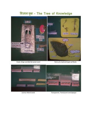 – The Tree of Knowledge
Fixed, Hinge and Ball & Socket Joint Parts of a leaf and types of Roots
Science Word Cards Transparent, Translucent and Opaque
 