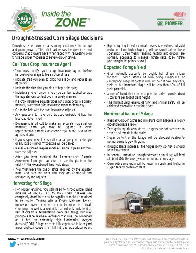 Dupont science essay examples 06 picture