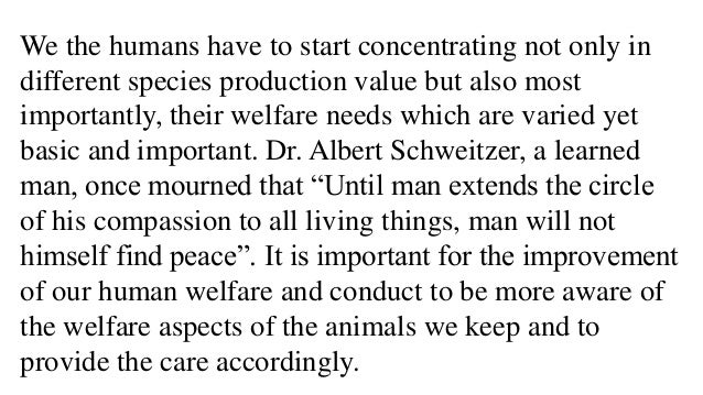 the immoral nature of the human race The philosophy of war any philosophical examination of war will center on four general questions: what is war what causes war what is the relationship between human nature and war. the immoral nature of the human race The philosophy of war any philosophical examination of war will center on four general questions: what is war what causes war what is the relationship between human nature and war.