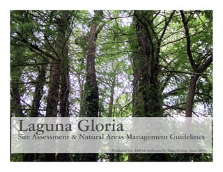 Site Assessment & Natural Areas Management Guidelines
Laguna Gloria
Produced for AMOA-Arthouse by Siglo Group, June 2013
 