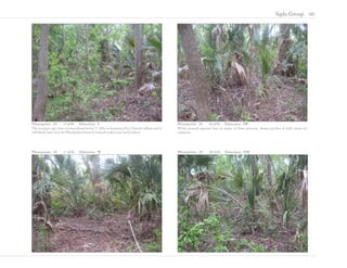 Laguna Gloria Site Assessment and Natural Area Management Guidelines by Siglo Group