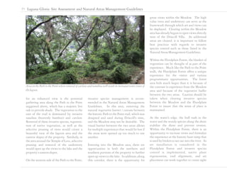 Laguna Gloria Site Assessment and Natural Area Management Guidelines by Siglo Group