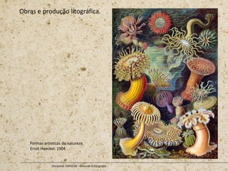 Obras e produção litográfica.
Disciplina: CAP0234 - Gravura III (litografia
Formas artisticas da natureza.
Ernst Haeckel. 1904
 