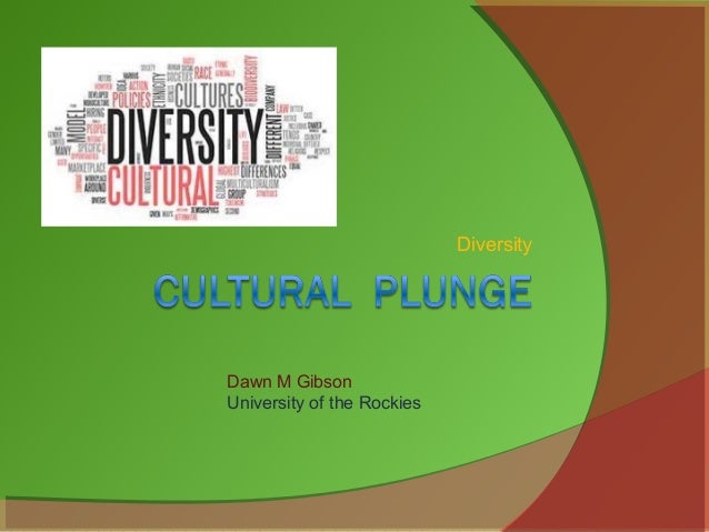Cultural Plunge