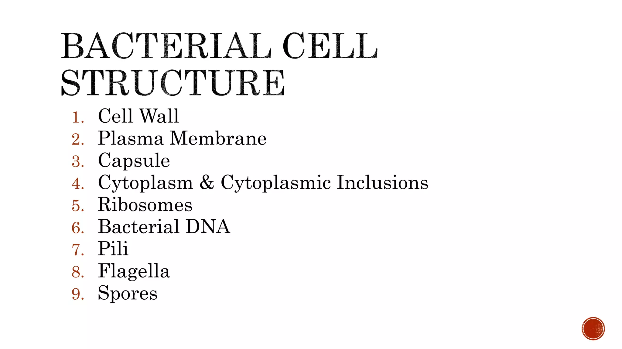 1. Cell Wall
2. Plasma Membrane
3. Capsule
4. Cytoplasm & Cytoplasmic Inclusions
5. Ribosomes
6. Bacterial DNA
7. Pili
8. Flagella
9. Spores
 