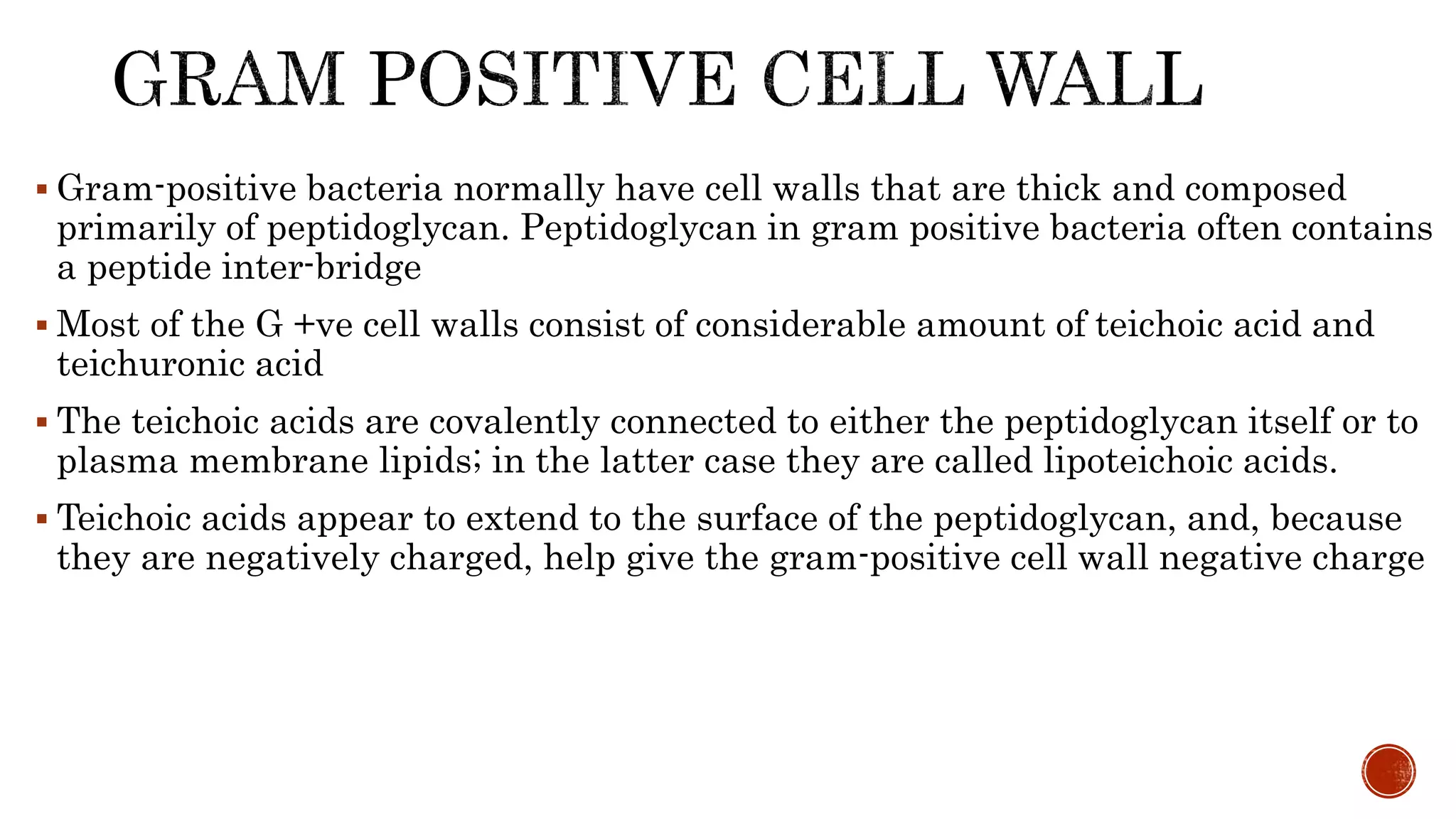  Gram-positive bacteria normally have cell walls that are thick and composed
primarily of peptidoglycan. Peptidoglycan in gram positive bacteria often contains
a peptide inter-bridge
 Most of the G +ve cell walls consist of considerable amount of teichoic acid and
teichuronic acid
 The teichoic acids are covalently connected to either the peptidoglycan itself or to
plasma membrane lipids; in the latter case they are called lipoteichoic acids.
 Teichoic acids appear to extend to the surface of the peptidoglycan, and, because
they are negatively charged, help give the gram-positive cell wall negative charge
 