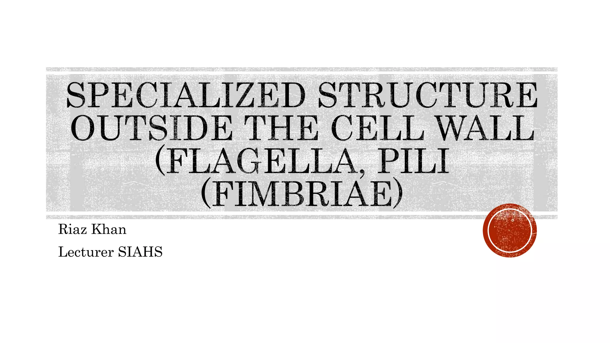 Riaz Khan
Lecturer SIAHS
 