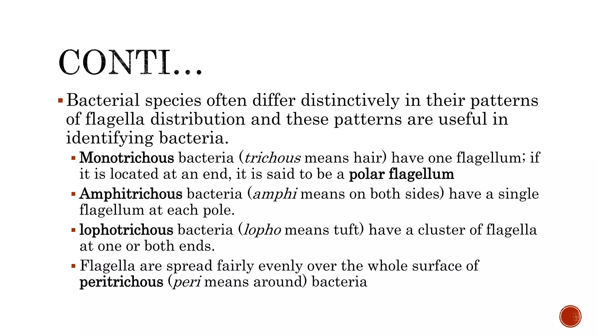 Bacterial species often differ distinctively in their patterns
of flagella distribution and these patterns are useful in
identifying bacteria.
 Monotrichous bacteria (trichous means hair) have one flagellum; if
it is located at an end, it is said to be a polar flagellum
 Amphitrichous bacteria (amphi means on both sides) have a single
flagellum at each pole.
 lophotrichous bacteria (lopho means tuft) have a cluster of flagella
at one or both ends.
 Flagella are spread fairly evenly over the whole surface of
peritrichous (peri means around) bacteria
 