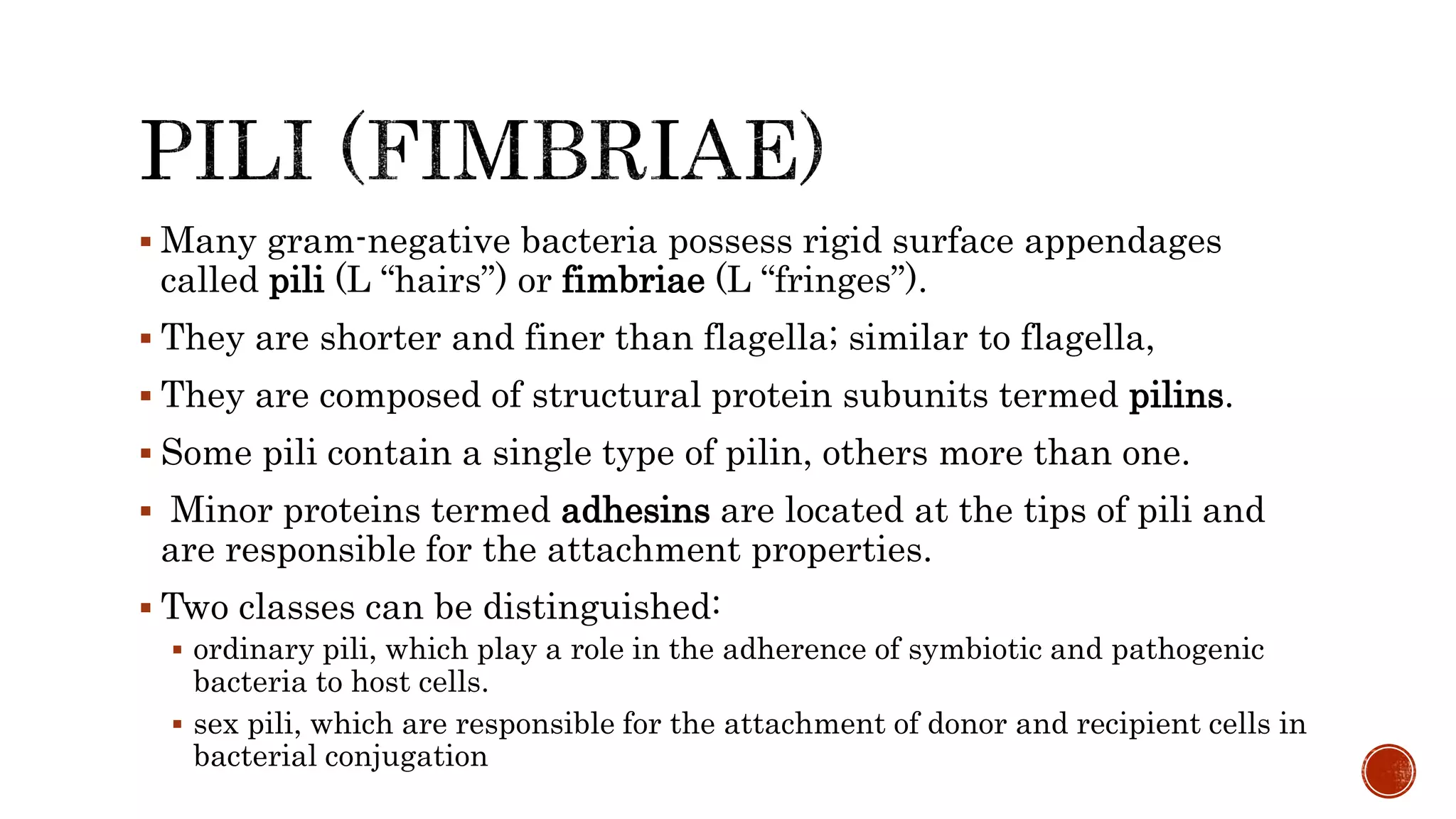  Many gram-negative bacteria possess rigid surface appendages
called pili (L “hairs”) or fimbriae (L “fringes”).
 They are shorter and finer than flagella; similar to flagella,
 They are composed of structural protein subunits termed pilins.
 Some pili contain a single type of pilin, others more than one.
 Minor proteins termed adhesins are located at the tips of pili and
are responsible for the attachment properties.
 Two classes can be distinguished:
 ordinary pili, which play a role in the adherence of symbiotic and pathogenic
bacteria to host cells.
 sex pili, which are responsible for the attachment of donor and recipient cells in
bacterial conjugation
 