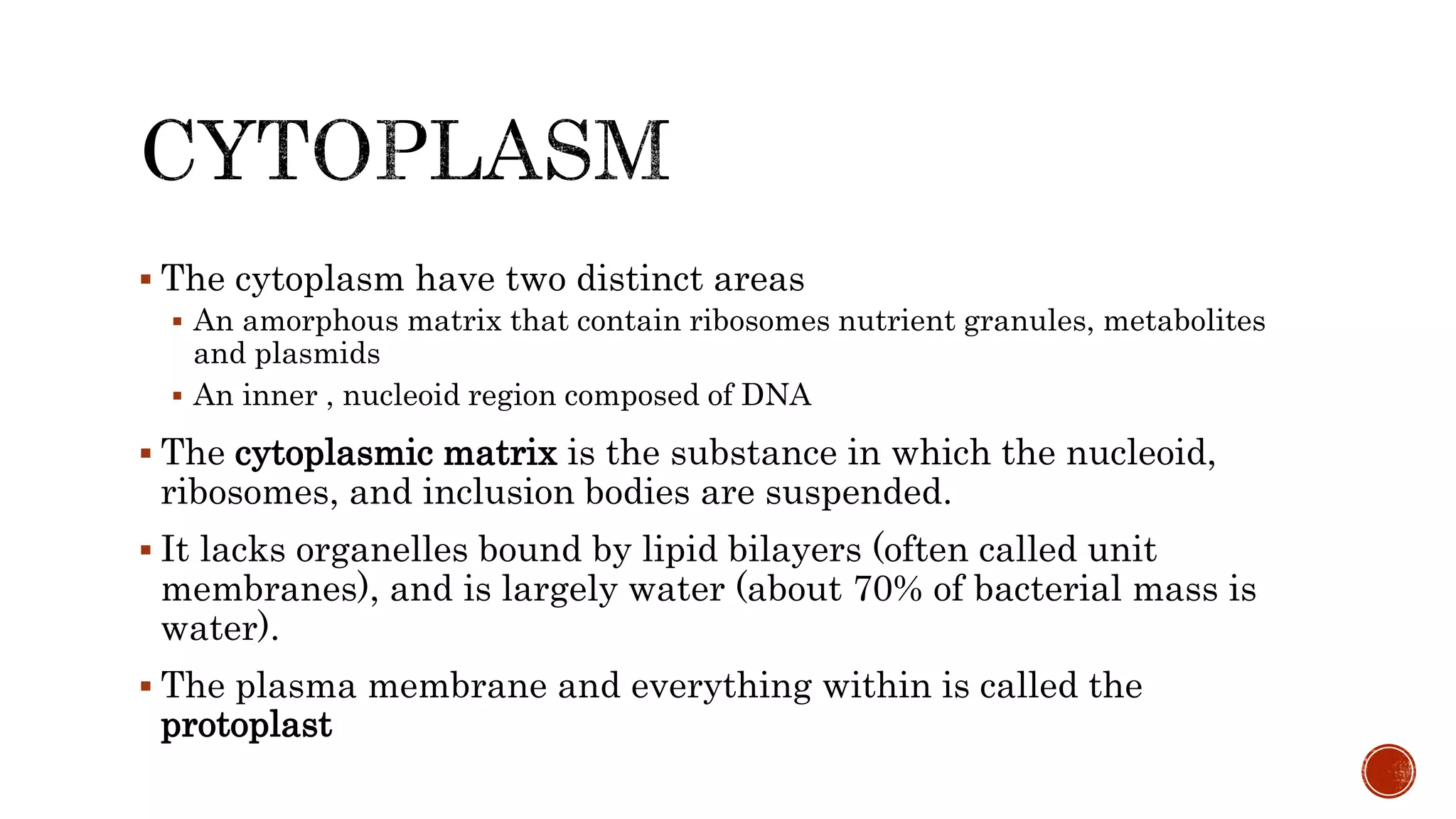  The cytoplasm have two distinct areas
 An amorphous matrix that contain ribosomes nutrient granules, metabolites
and plasmids
 An inner , nucleoid region composed of DNA
 The cytoplasmic matrix is the substance in which the nucleoid,
ribosomes, and inclusion bodies are suspended.
 It lacks organelles bound by lipid bilayers (often called unit
membranes), and is largely water (about 70% of bacterial mass is
water).
 The plasma membrane and everything within is called the
protoplast
 