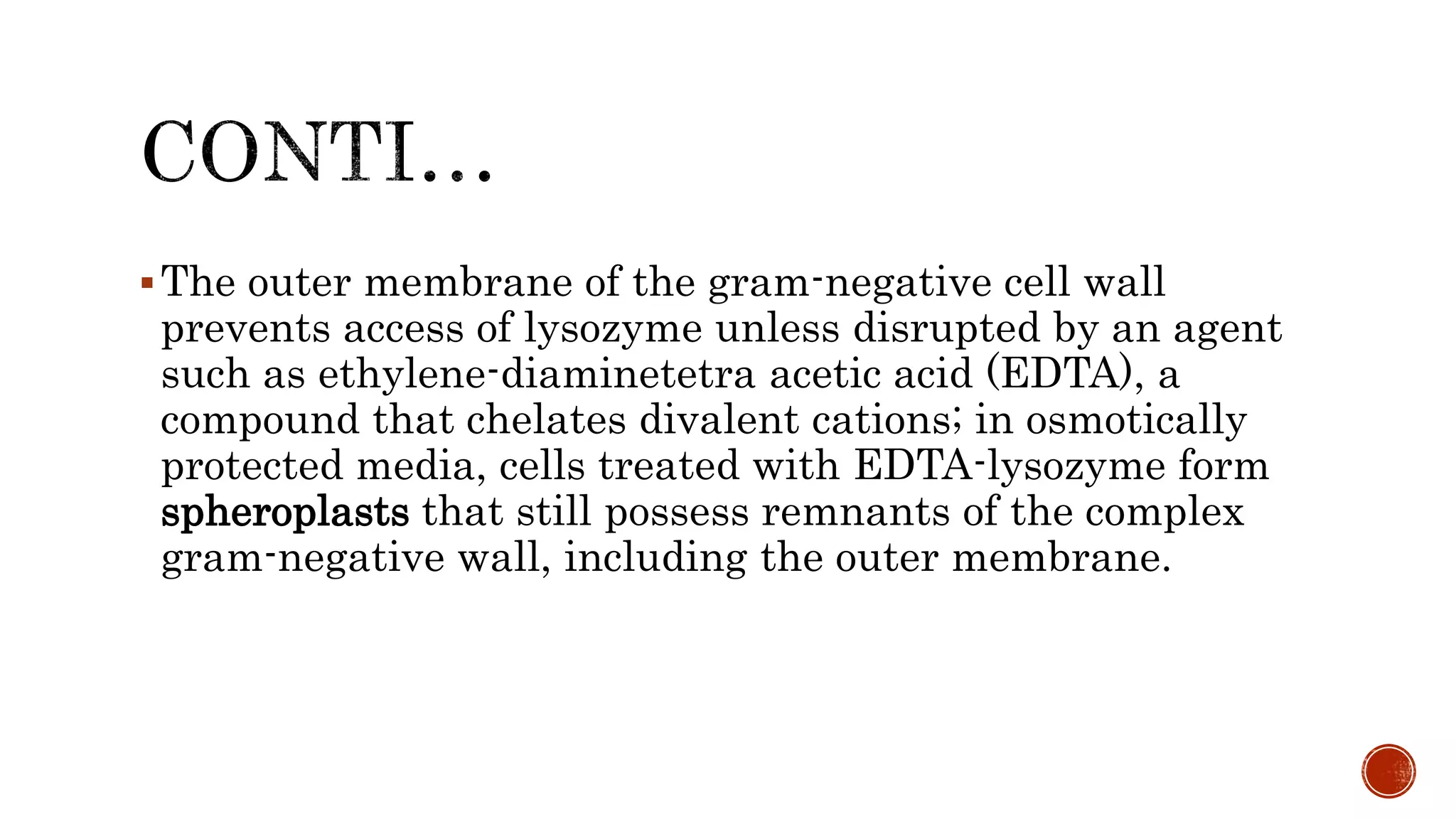The outer membrane of the gram-negative cell wall
prevents access of lysozyme unless disrupted by an agent
such as ethylene-diaminetetra acetic acid (EDTA), a
compound that chelates divalent cations; in osmotically
protected media, cells treated with EDTA-lysozyme form
spheroplasts that still possess remnants of the complex
gram-negative wall, including the outer membrane.
 