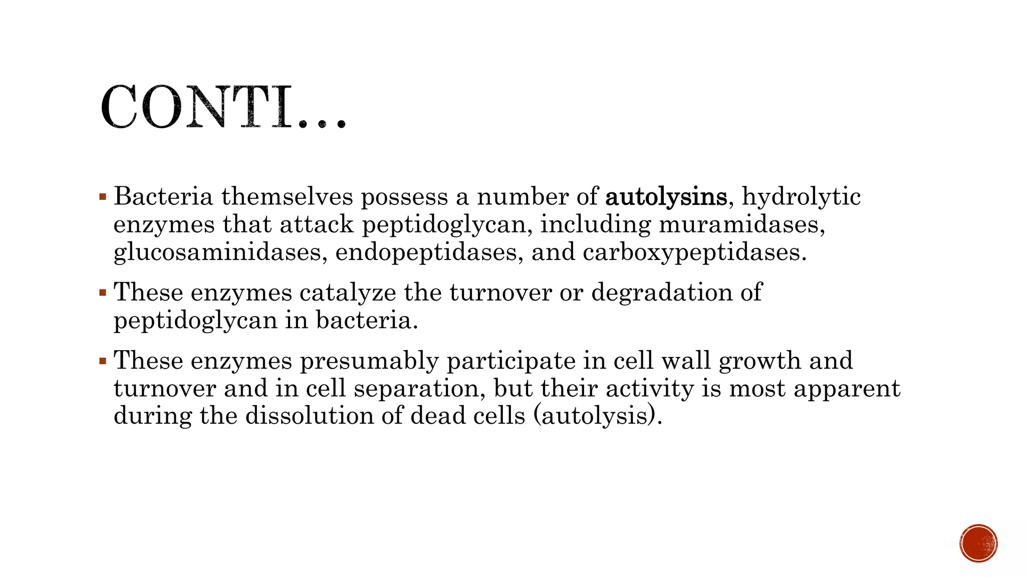  Bacteria themselves possess a number of autolysins, hydrolytic
enzymes that attack peptidoglycan, including muramidases,
glucosaminidases, endopeptidases, and carboxypeptidases.
 These enzymes catalyze the turnover or degradation of
peptidoglycan in bacteria.
 These enzymes presumably participate in cell wall growth and
turnover and in cell separation, but their activity is most apparent
during the dissolution of dead cells (autolysis).
 