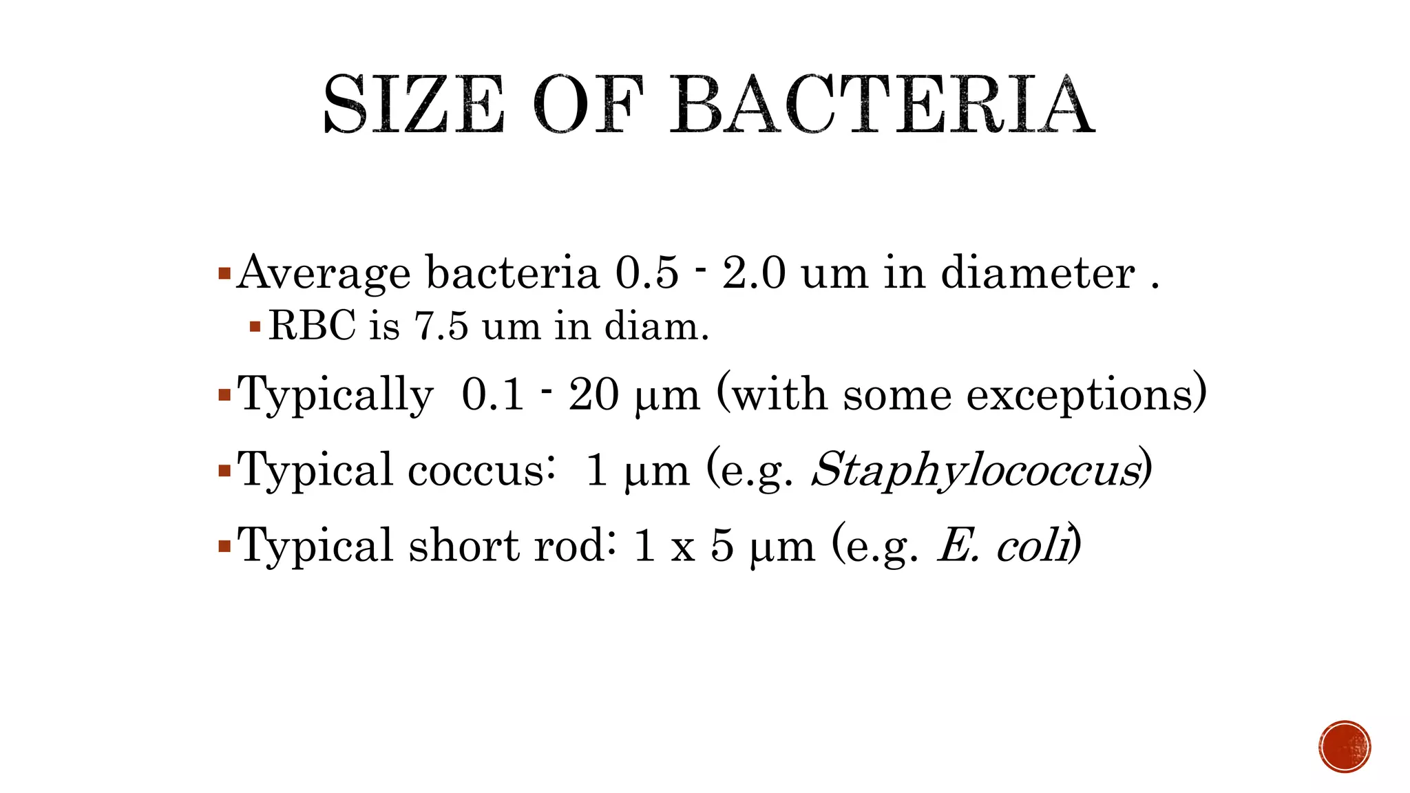 Average bacteria 0.5 - 2.0 um in diameter .
RBC is 7.5 um in diam.
Typically 0.1 - 20 m (with some exceptions)
Typical coccus: 1 m (e.g. Staphylococcus)
Typical short rod: 1 x 5 m (e.g. E. coli)
 