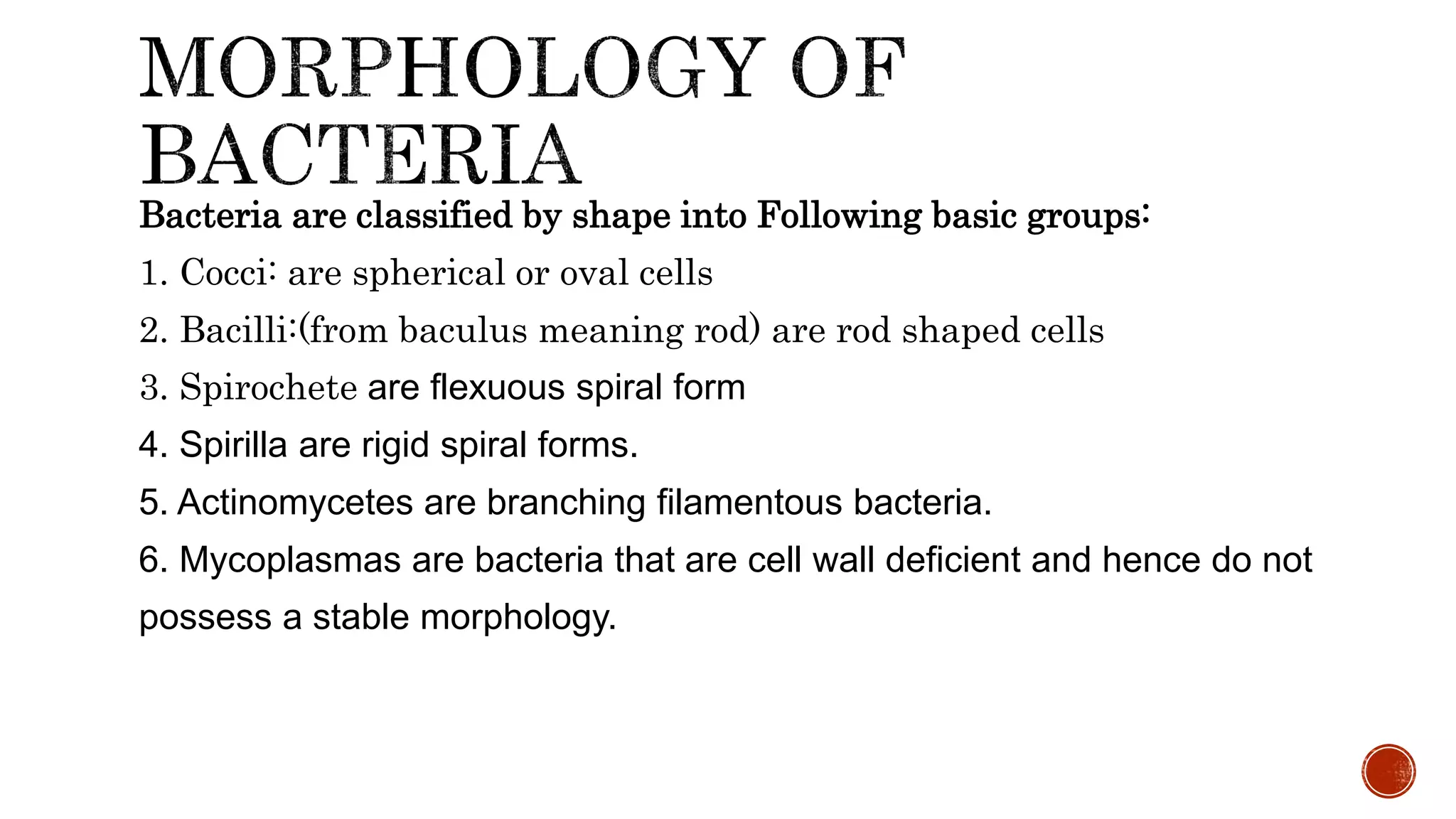 Bacteria are classified by shape into Following basic groups:
1. Cocci: are spherical or oval cells
2. Bacilli:(from baculus meaning rod) are rod shaped cells
3. Spirochete are flexuous spiral form
4. Spirilla are rigid spiral forms.
5. Actinomycetes are branching filamentous bacteria.
6. Mycoplasmas are bacteria that are cell wall deficient and hence do not
possess a stable morphology.
 