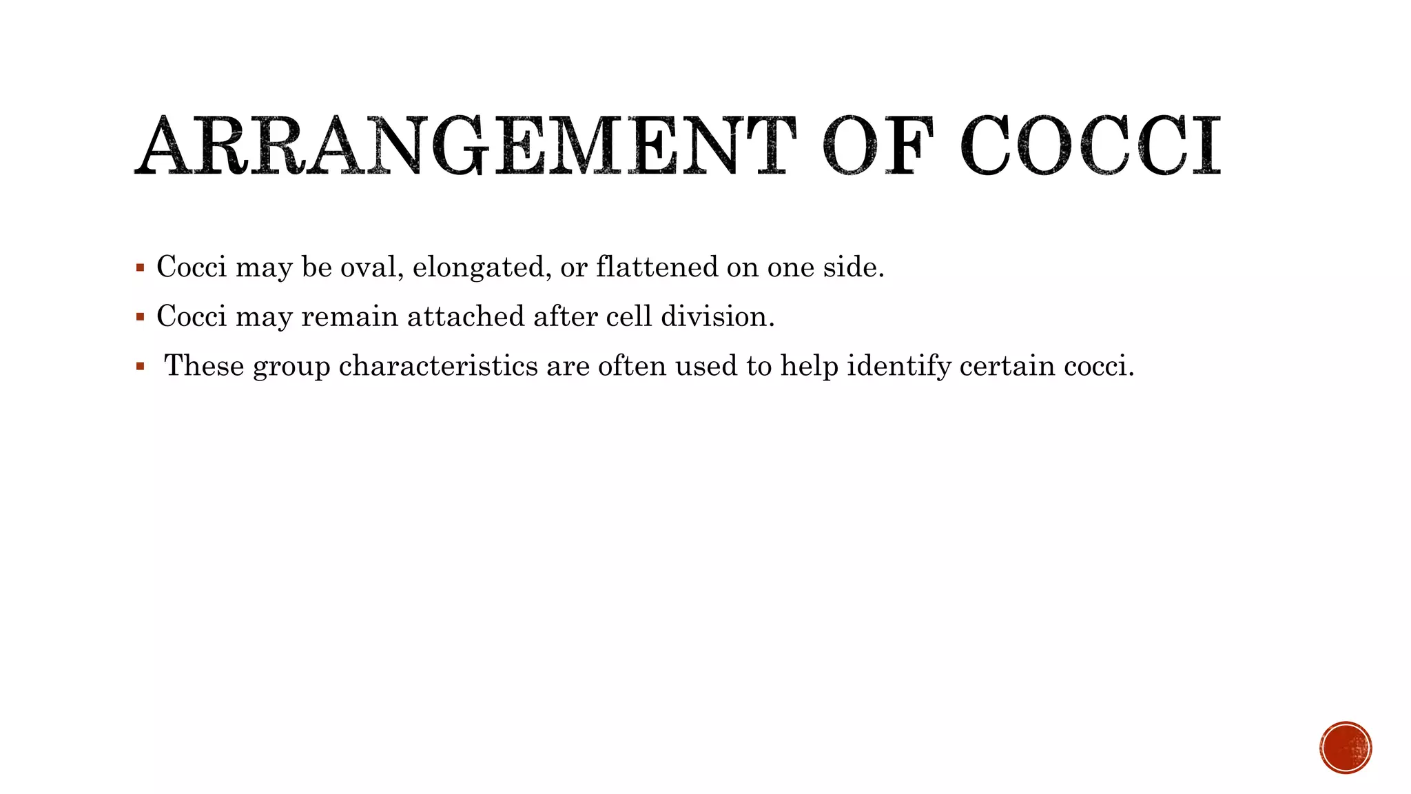  Cocci may be oval, elongated, or flattened on one side.
 Cocci may remain attached after cell division.
 These group characteristics are often used to help identify certain cocci.
 