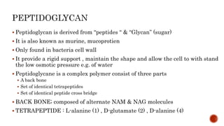  Peptidoglycan is derived from “peptides “ & “Glycan” (sugar)
 It is also known as murine, mucoprotien
 Only found in bacteria cell wall
 It provide a rigid support , maintain the shape and allow the cell to with stand
the low osmotic pressure e.g. of water
 Peptidoglycane is a complex polymer consist of three parts
 A back bone
 Set of identical tetrapeptides
 Set of identical peptide cross bridge
 BACK BONE; composed of alternate NAM & NAG molecules
 TETRAPEPTIDE : L-alanine (1) , D-glutamate (2) , D-alanine (4)
 