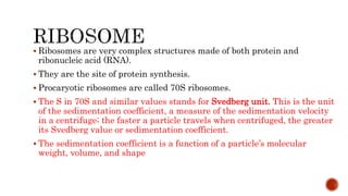  Ribosomes are very complex structures made of both protein and
ribonucleic acid (RNA).
 They are the site of protein synthesis.
 Procaryotic ribosomes are called 70S ribosomes.
 The S in 70S and similar values stands for Svedberg unit. This is the unit
of the sedimentation coefficient, a measure of the sedimentation velocity
in a centrifuge; the faster a particle travels when centrifuged, the greater
its Svedberg value or sedimentation coefficient.
 The sedimentation coefficient is a function of a particle’s molecular
weight, volume, and shape
 