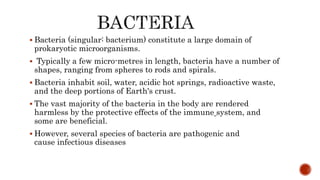  Bacteria (singular: bacterium) constitute a large domain of
prokaryotic microorganisms.
 Typically a few micro-metres in length, bacteria have a number of
shapes, ranging from spheres to rods and spirals.
 Bacteria inhabit soil, water, acidic hot springs, radioactive waste,
and the deep portions of Earth's crust.
 The vast majority of the bacteria in the body are rendered
harmless by the protective effects of the immune system, and
some are beneficial.
 However, several species of bacteria are pathogenic and
cause infectious diseases
 
