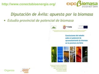 Biomasa para el frío abulense. Red de Calefacción Municipal de El Barco de Ávila