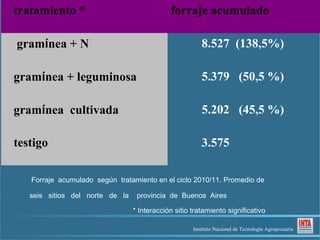 tratamiento *                                forraje acumulado

gramínea + N                                            8.527 (138,5%)

gramínea + leguminosa                                   5.379 (50,5 %)

gramínea cultivada                                      5.202 (45,5 %)

testigo                                                 3.575

   Forraje acumulado según tratamiento en el ciclo 2010/11. Promedio de

   seis sitios del norte de la    provincia de Buenos Aires

                                 * Interacción sitio tratamiento significativo

                                                     Instituto Nacional de Tecnología Agropecuaria
 