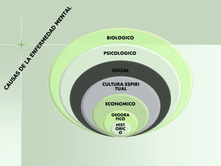 BIOLOGICO 
PSICOLOGICO 
SOCIAL 
CULTURA/ESPIRI 
TUAL 
ECONOMICO 
GEOGRA 
FICO 
HIST 
ORIC 
O 
 