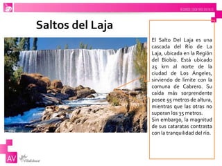 Saltos del Laja
El Salto Del Laja es una
cascada del Río de La
Laja, ubicada en la Región
del Biobío. Está ubicado
25 km al norte de la
ciudad de Los Ángeles,
sirviendo de límite con la
comuna de Cabrero. Su
caída más sorprendente
posee 55 metros de altura,
mientras que las otras no
superan los 35 metros.
Sin embargo, la magnitud
de sus cataratas contrasta
con la tranquilidad del río.
 