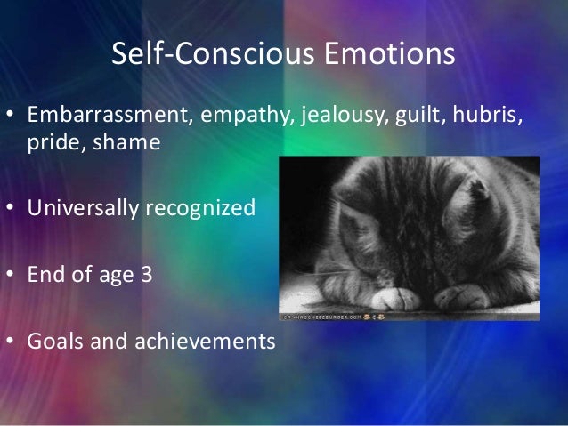 Monika_fMRI Correlates of Self-Conscious Emotion Recognition Monika_fMRI Correlates of Self-Conscious Emotion Recognition