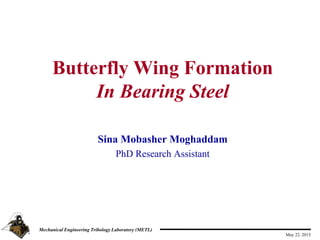 May 22, 2015
Mechanical Engineering Tribology Laboratory (METL)
Butterfly Wing Formation
In Bearing Steel
Sina Mobasher Moghaddam
PhD Research Assistant
 