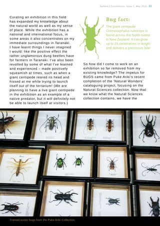 Tauhere | Connections, Issue 1, May 2016. 33
Curating an exhibition in this field
has expanded my knowledge about
the natural world as well as my sense
of place. While the exhibition has a
national and international focus, in
some areas it also concentrates on my
immediate surroundings in Taranaki.
I have learnt things I never imagined
I would: like the positive effect the
rather unglamorous dung beetles have
for farmers in Taranaki. I’ve also been
revolted by some of what I’ve learned
and experienced – made positively
squeamish at times, such as when a
giant centipede reared its head and
hissed at me while trying to launch
itself out of the terrarium! (We are
planning to have a live giant centipede
in the exhibition as an example of a
native predator, but it will definitely not
be able to launch itself at visitors.)
So how did I come to work on an
exhibition so far removed from my
existing knowledge? The impetus for
BUGS came from Puke Ariki’s recent
completion of the ‘Natural Wonders’
cataloguing project, focusing on the
Natural Sciences collection. Now that
we know what the Natural Sciences
collection contains, we have the
Framed exotic bugs from the Puke Ariki Collection.
The giant centipede
Cormocephalus rubriceps is
found across the North Island
in New Zealand. It can grow
up to 25 centimetres in length
and delivers a poisonous bite!
Bug fact:
 