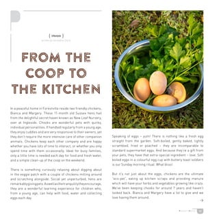 32
From the
Coop to
the Kitchen
In a peaceful home in Forestville reside two friendly chickens,
Bianca and Margery. These 11-month old Sussex hens hail
from the delightful secret haven known as New Leaf Nursery,
over at Ingleside. Chooks are wonderful pets with quirky,
individual personalities. If handled regularly from a young age,
they enjoy cuddles and are very responsive to their owners, yet
they don’t require the more intensive care of other companion
animals. Chickens keep each other company and are happy
whether you have lots of time to interact, or whether you only
spend time with them occasionally. Ideal for busy families,
only a little time is needed each day for food and fresh water,
and a simple clean-up of the coop on the weekend.
There is something curiously relaxing about digging about
in the veggie patch with a couple of chickens milling around
and scratching alongside. Social yet unperturbed, hens are
remarkablygivingpets.Aswellasthetranquilitytheyencourage,
they are a wonderful learning experience for children who,
from a young age, can help with food, water and collecting
eggs each day.
Speaking of eggs – yum! There is nothing like a fresh egg
straight from the garden. Soft-boiled, gently baked, lightly
scrambled, fried or poached – they are incomparable to
standard supermarket eggs. And because they’re a gift from
your pets, they have that extra-special ingredient – love. Soft
boiled eggs in a colourful egg cup with buttery toast soldiers
is our Sunday morning ritual. What bliss!
But it’s not just about the eggs, chickens are the ultimate
“eco-pet”, eating up kitchen scraps and providing manure
which will have your herbs and vegetables growing like crazy.
We’ve been keeping chooks for around 7 years and haven’t
looked back. Bianca and Margery have a lot to give and we
love having them around.

{ lifestyle }
written by Geraldine Clark
 