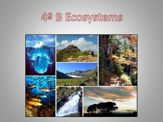 4ºb ecosystems