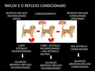 PAVLOV E O REFLEXO CONDICIONADO
RESPOSTA/REFLEXO
INCONDICIONADO
(INATO)
CONDICIONAMENTO RESPOSTA/REFLEXO
CONDICIONADO
(APRENDIDO)
CARNE
(ESTÍMULO
INCONDICIONADO)
SALIVAÇÃO
(RESPOSTA/REFLEXO
INCONDICIONADO)
CARNE (ESTÍMULO
INCONDICIONADO)
+ SOM (ESTÍMULO
NEUTRO)
SALIVAÇÃO
(RESPOSTA/REFLEXO
INCONDICIONADO)
SOM (ESTÍMULO
CONDICIONADO)
SALIVAÇÃO
(RESPOSTA/REFLEXO
CONDICIONADO)
 