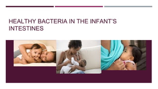 HEALTHY BACTERIA IN THE INFANT’S
INTESTINES
 