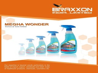 BRAXXON company profile (1)