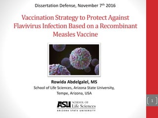 VaccinationStrategy to ProtectAgainst
FlavivirusInfectionBased on a Recombinant
Measles Vaccine
Rowida Abdelgalel, MS
School of Life Sciences, Arizona State University,
Tempe, Arizona, USA
Dissertation Defense, November 7th 2016
1
 