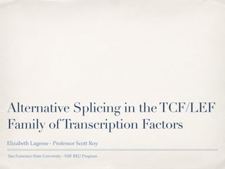 Alternative Splicing in theTCF/LEF
Family ofTranscription Factors
Elizabeth Lagesse - Professor Scott Roy
San Francisco State University - NSF REU Program
 