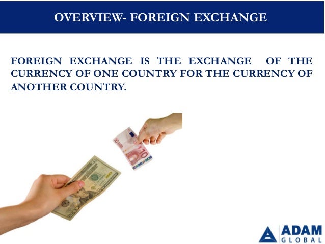 Forex License In Dubai - 