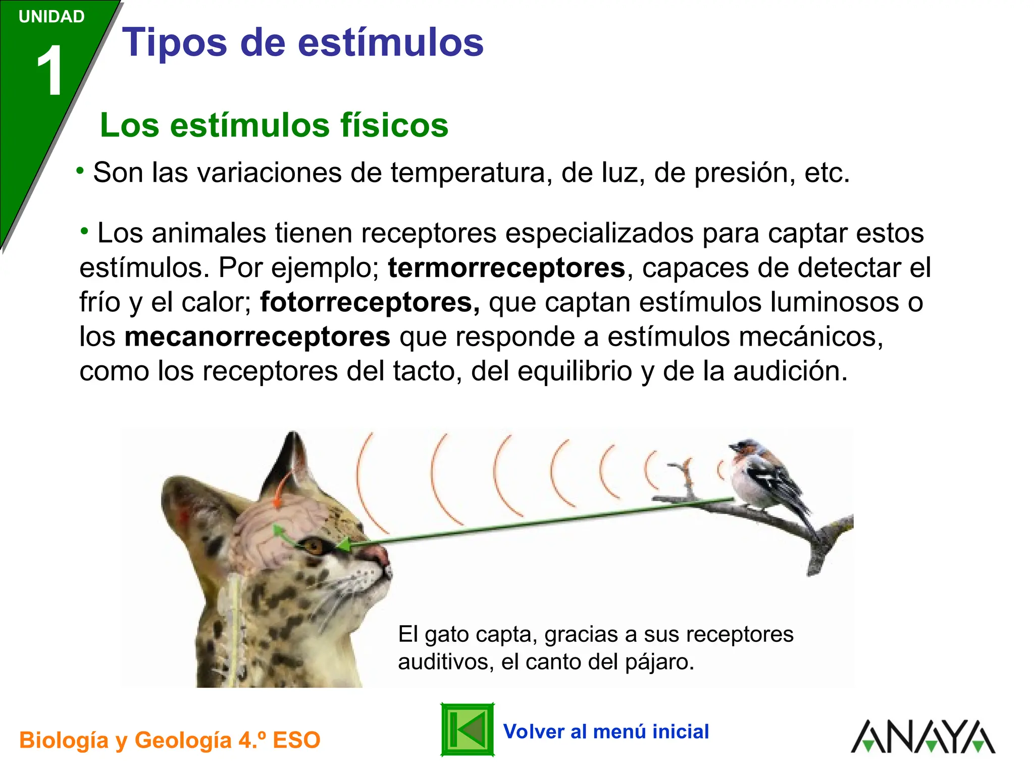 Ejemplos De Estimulos En Los Seres Vivos