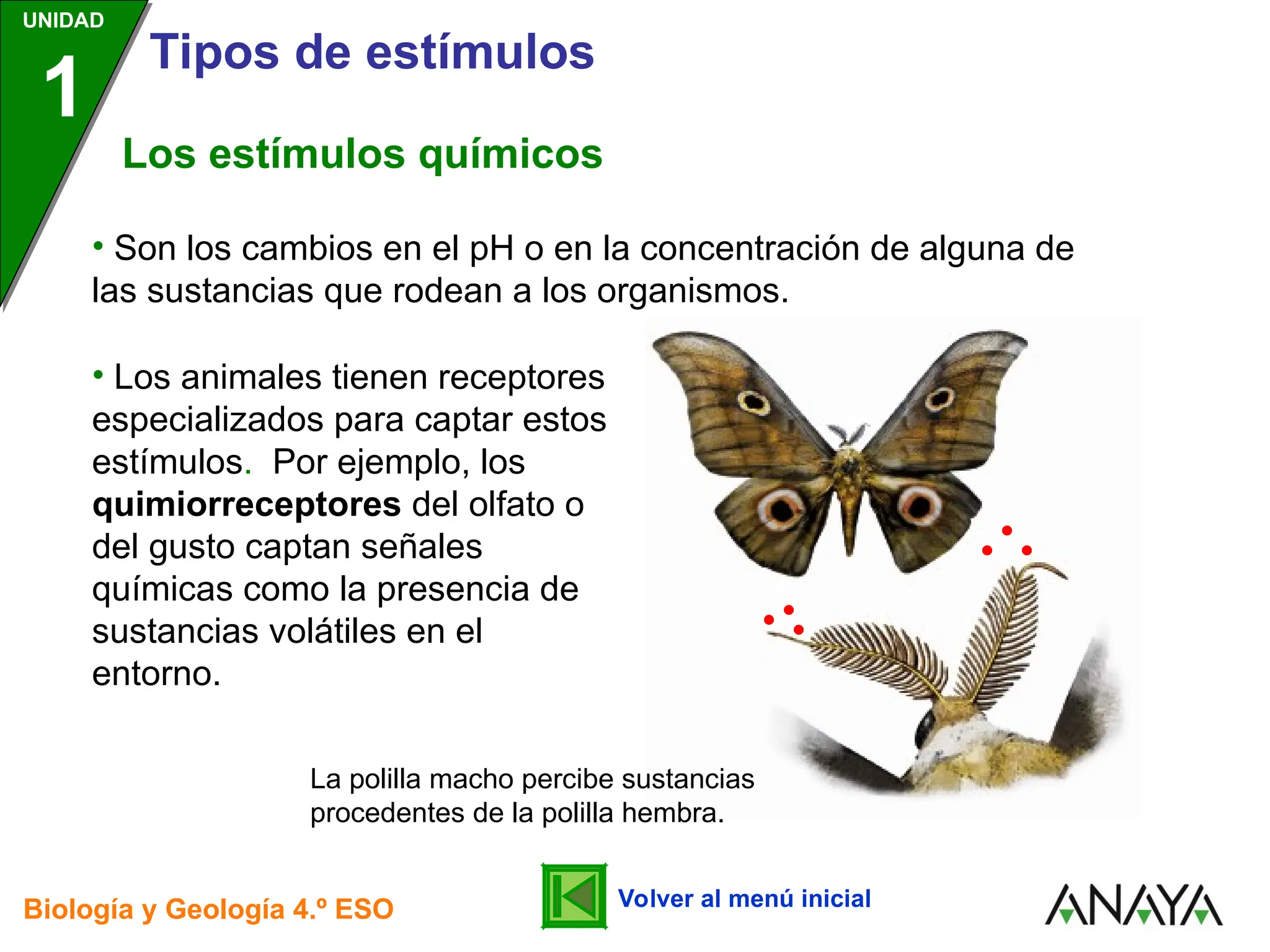 tipos de estimulos, en los seres vivos y respuestas | PPT