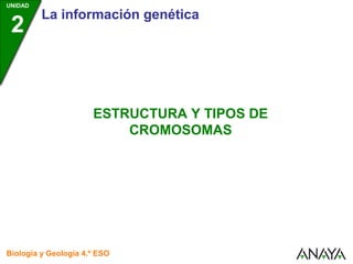 UNIDAD

2

La información genética

ESTRUCTURA Y TIPOS DE
CROMOSOMAS

Biología y Geología 4.º ESO

 